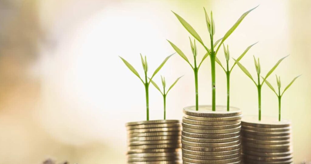 İslami Finans: Helal Yatırım ve Finansal Ürün